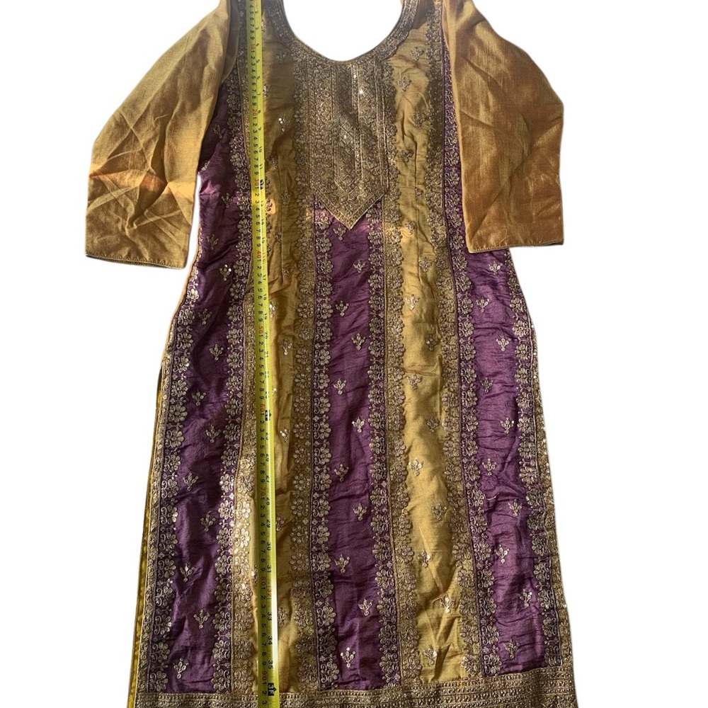 Traditional indian suit/ punjabi suit